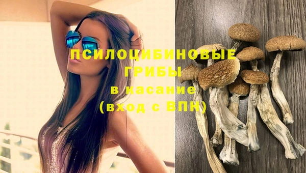 прущая мука Алзамай