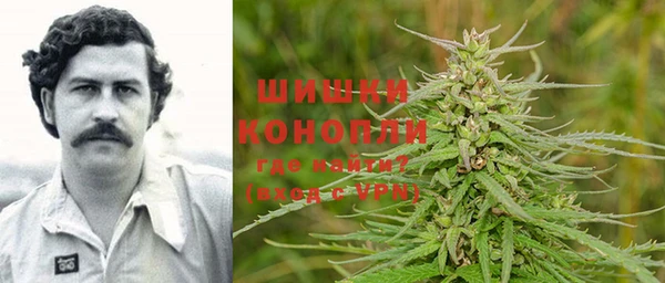 шишки Армянск