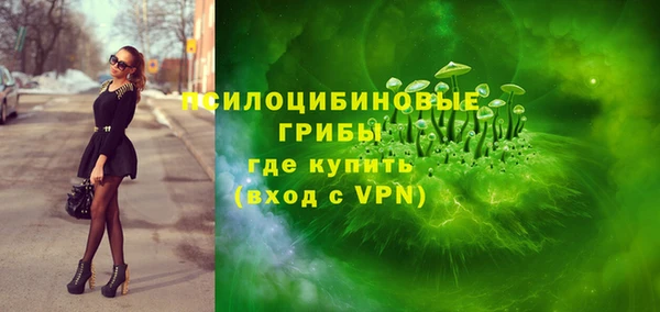 прущая мука Алзамай