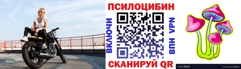 кракен tor закладка Макушино Галлюциногенные грибы Psilocybe